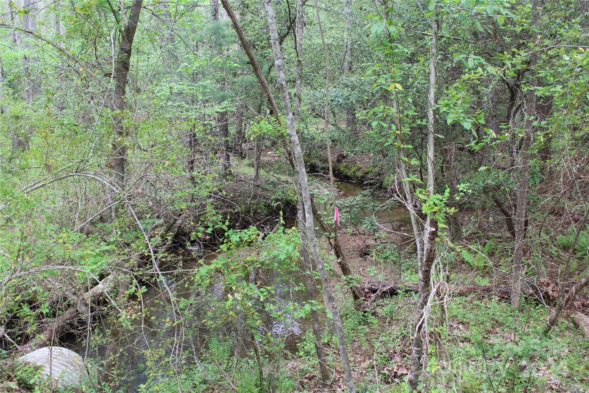 350 Sycamore Avenue #6 & 2 - Photo 5