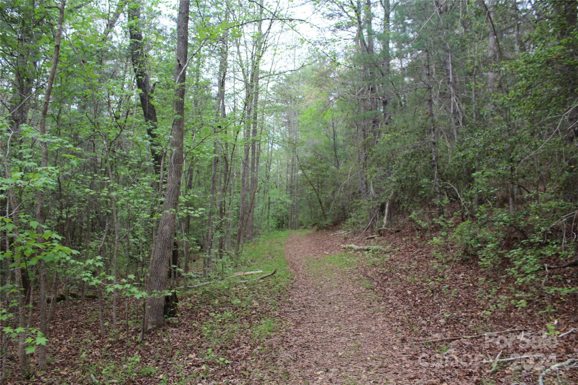 350 Sycamore Avenue #6 & 2 - Photo 7