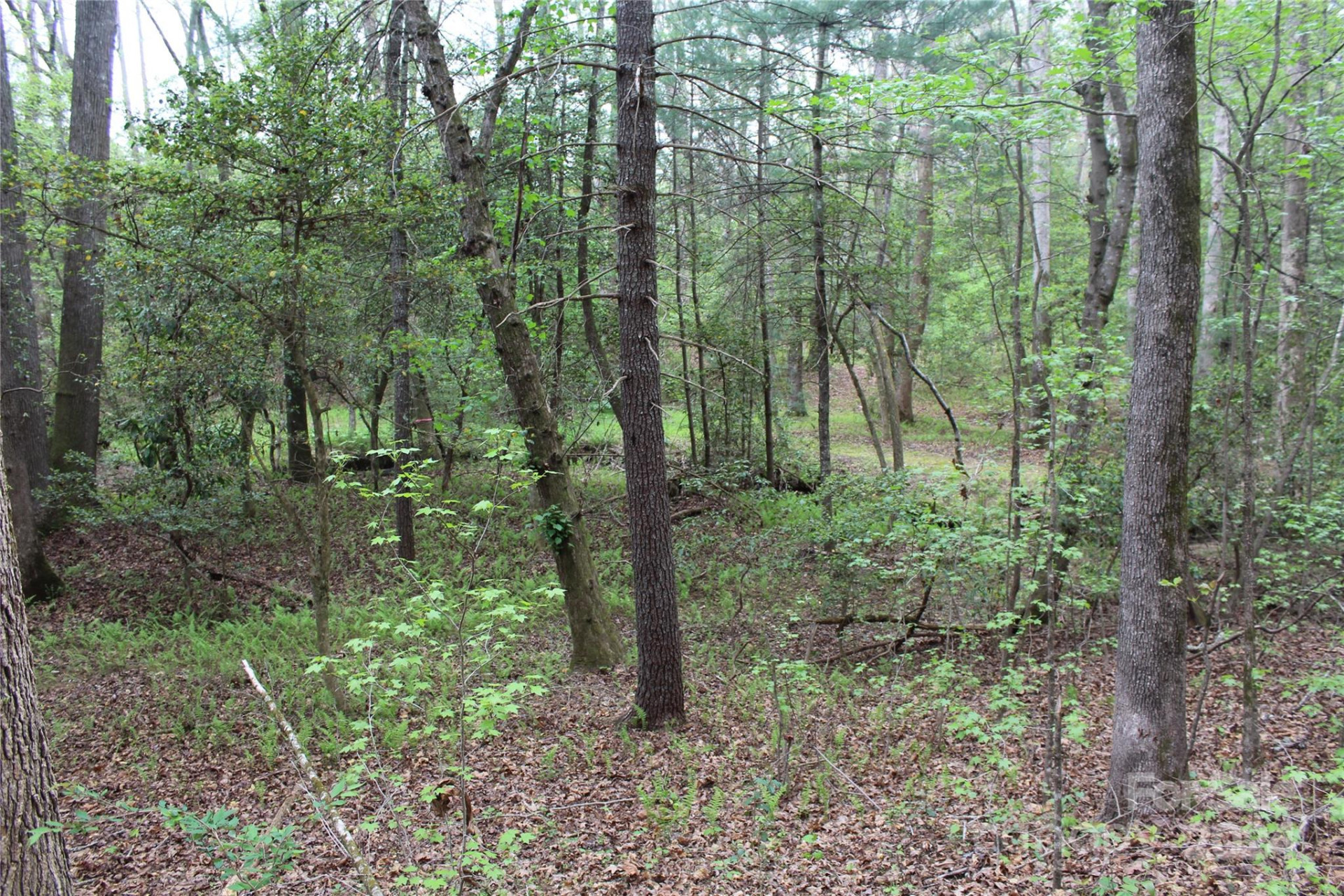 350 Sycamore Avenue #6 & 2 - Photo 8