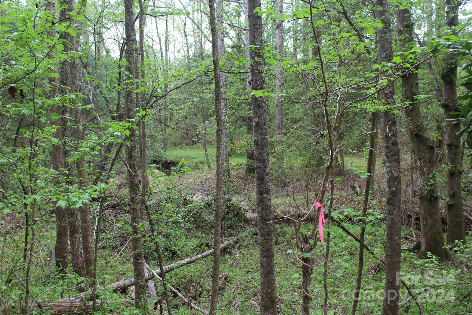 350 Sycamore Avenue #6 & 2 - Photo 9