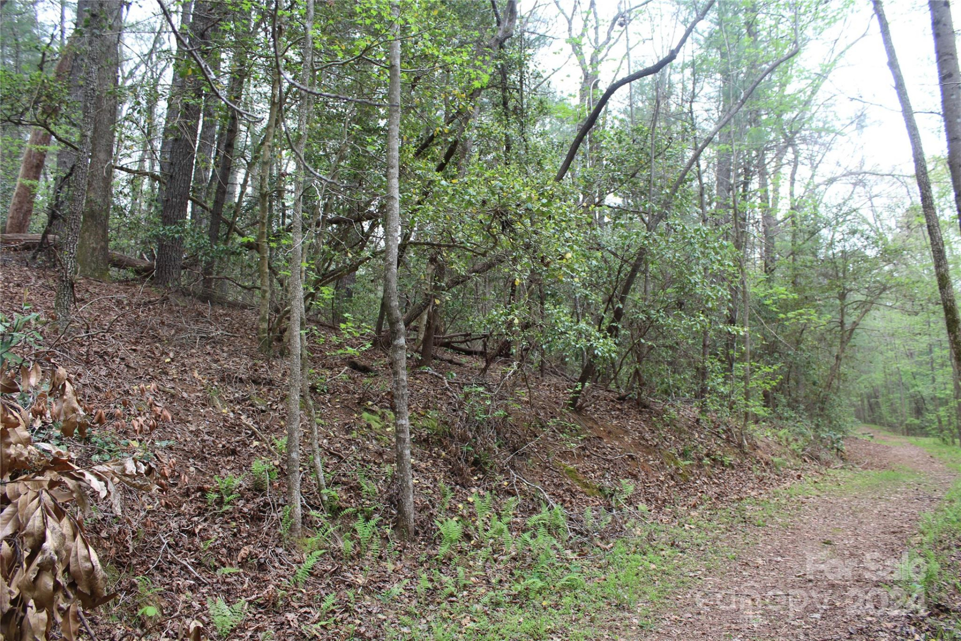 350 Sycamore Avenue #6 & 2 - Photo 10