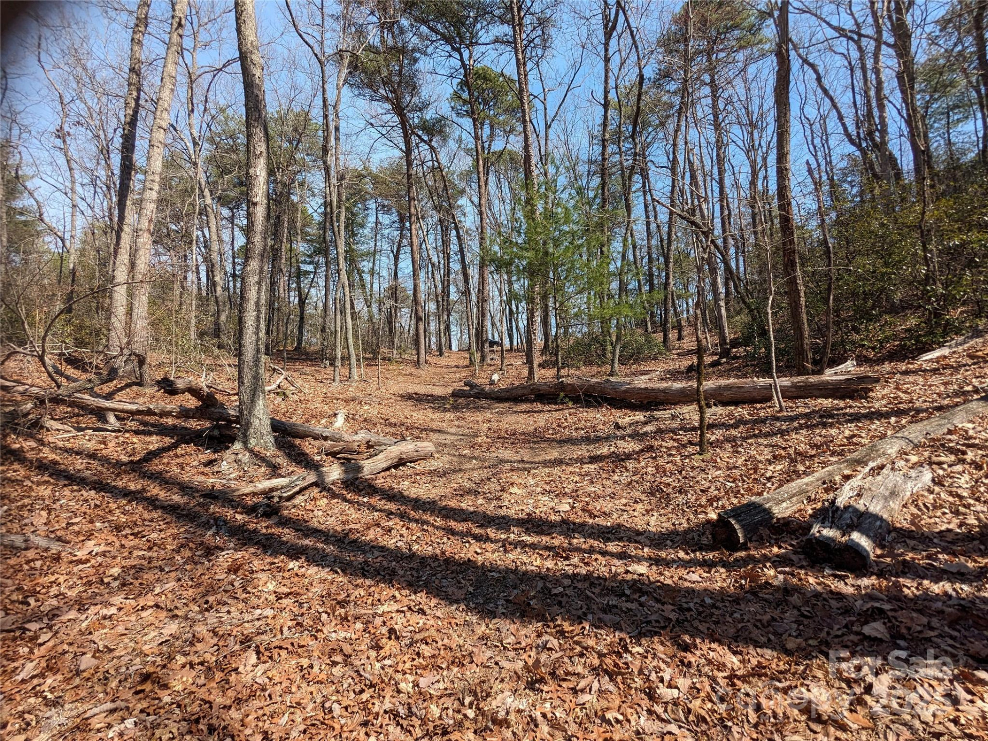 8636 Sleepy Hollow Road #12 - Photo 2