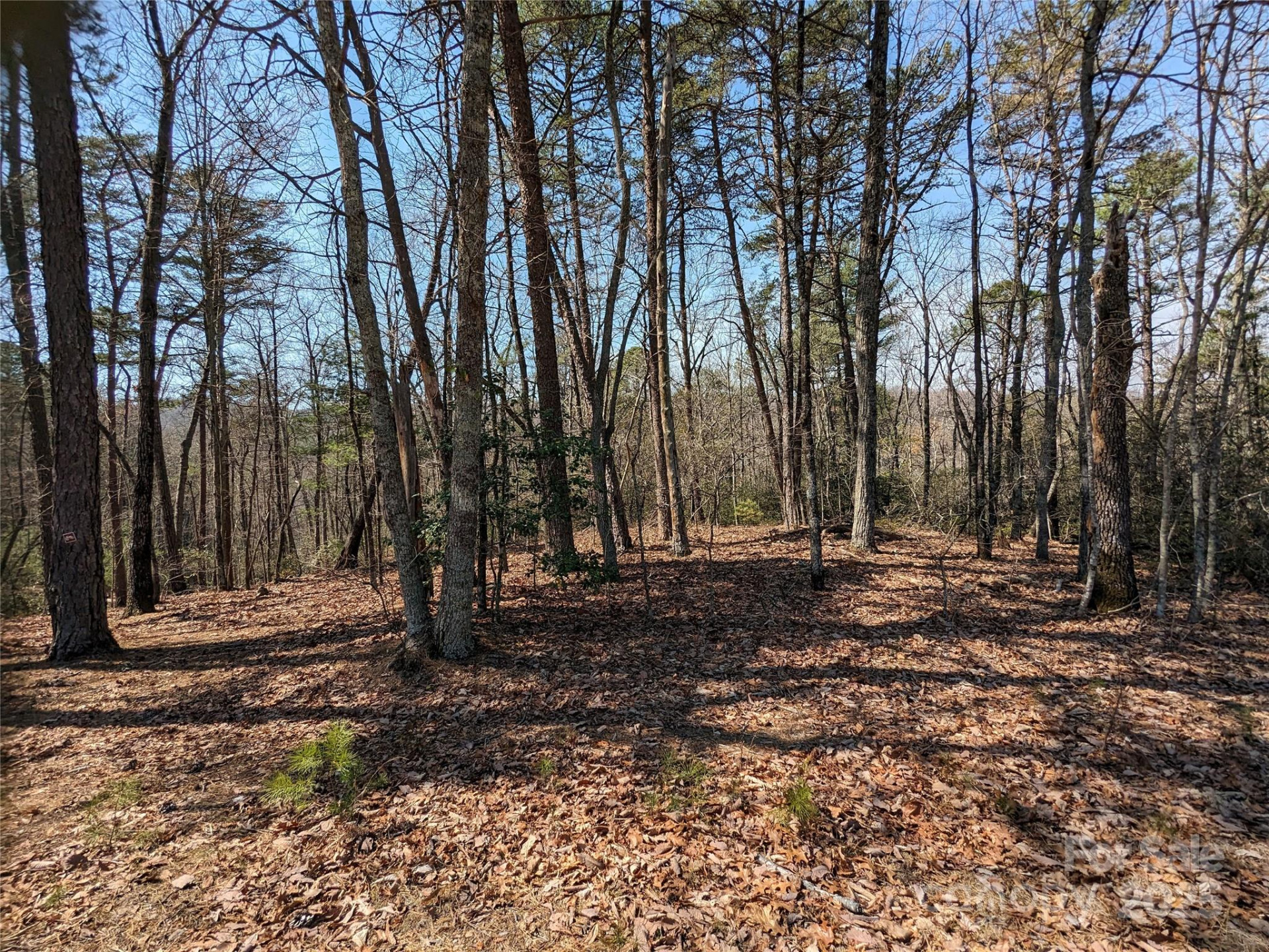 8636 Sleepy Hollow Road #12 - Photo 11