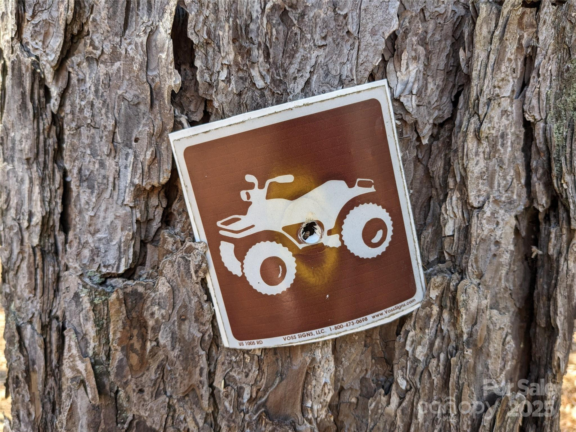 8636 Sleepy Hollow Road #12 - Photo 12