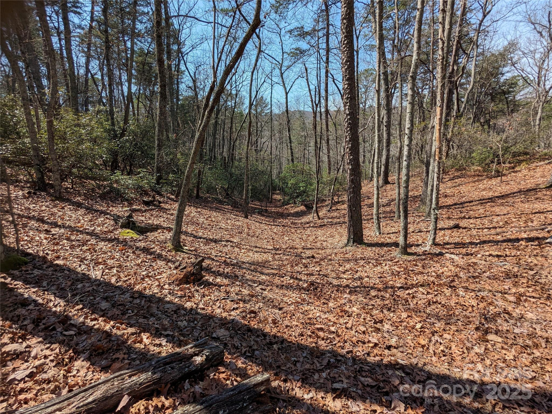 8636 Sleepy Hollow Road #12 - Photo 26