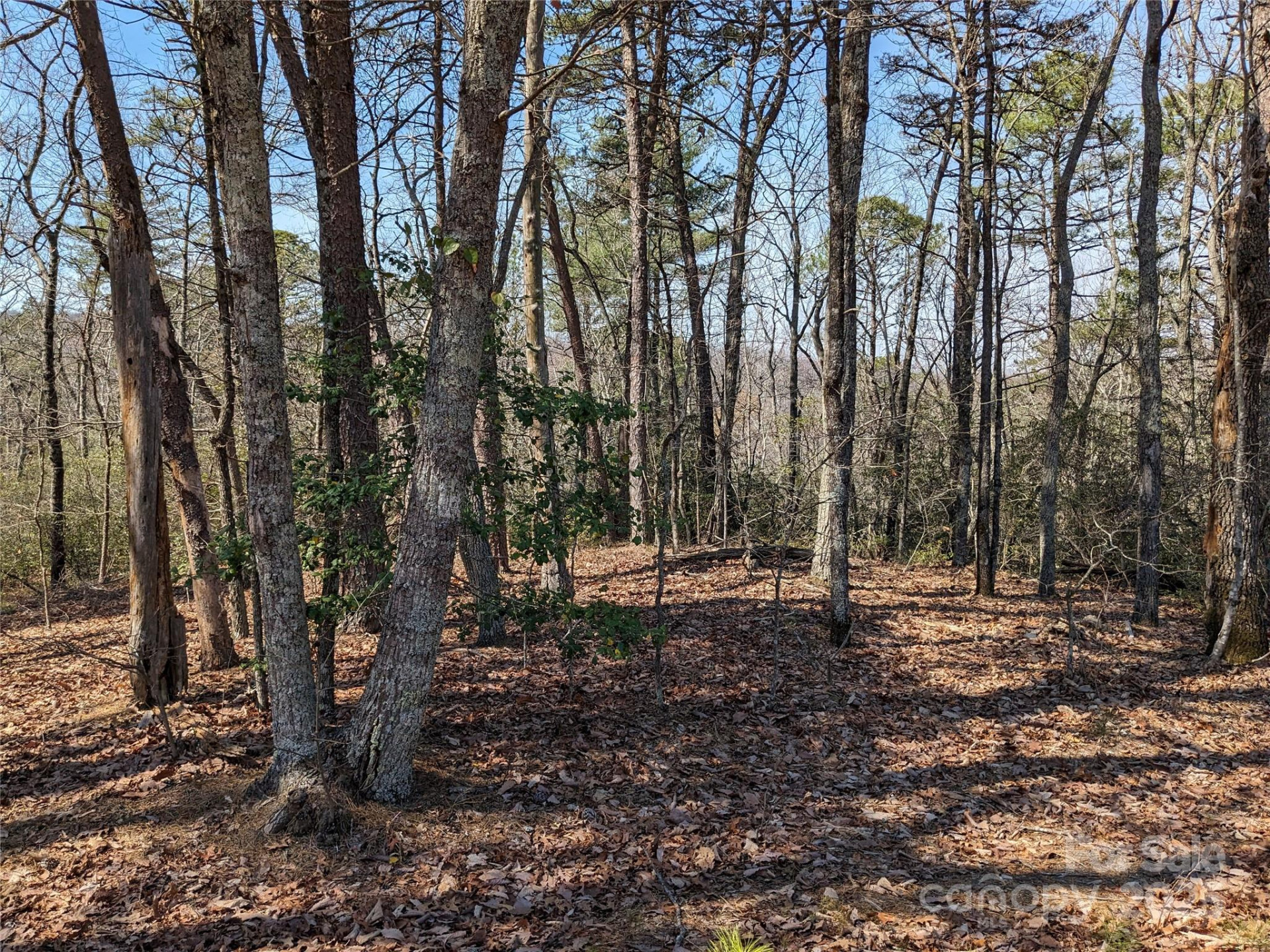 8636 Sleepy Hollow Road #12 - Photo 4