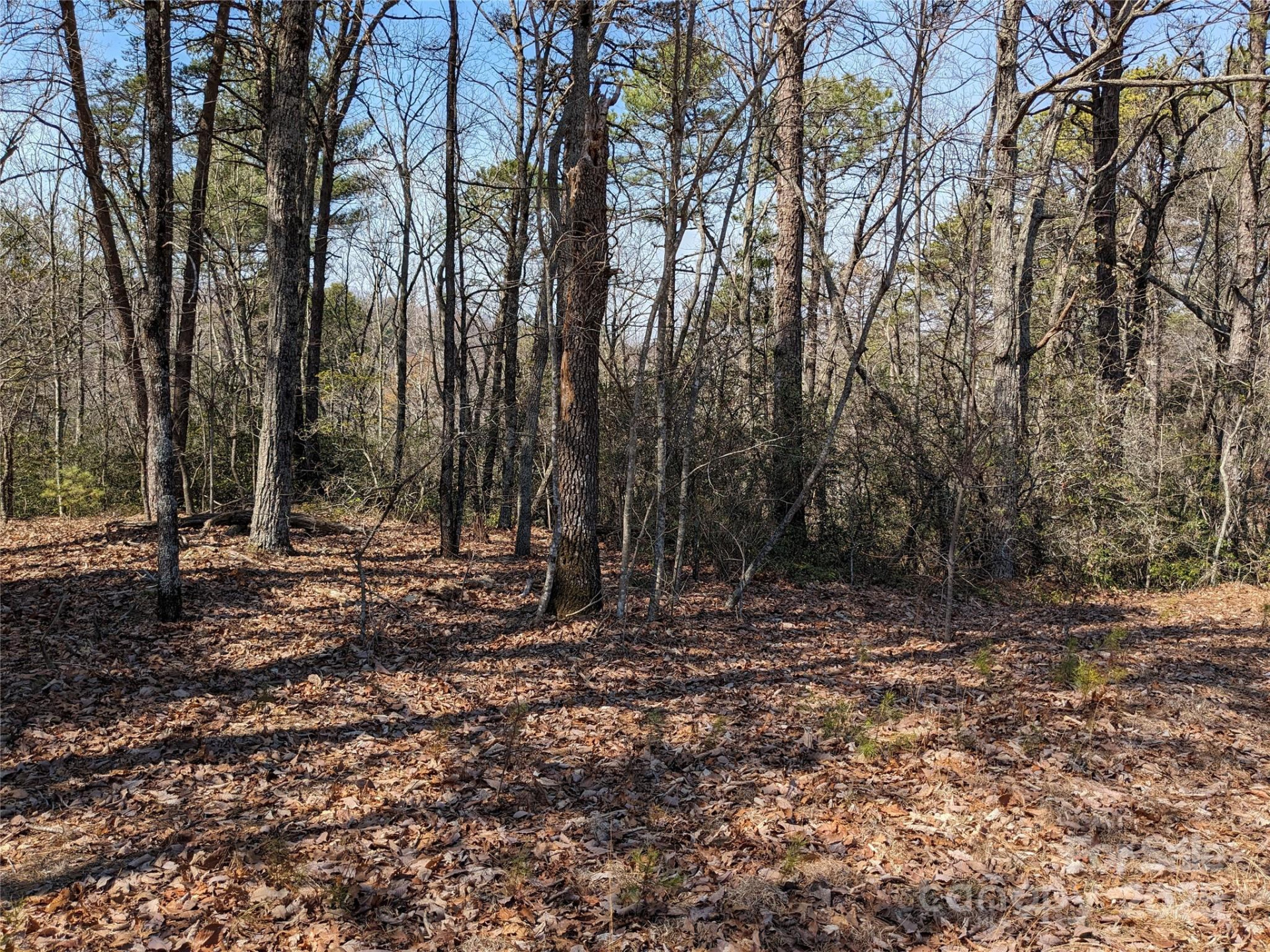 8636 Sleepy Hollow Road #12 - Photo 5