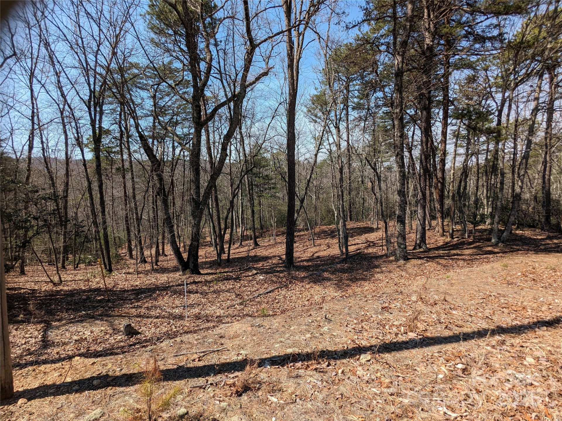 8636 Sleepy Hollow Road #12 - Photo 10