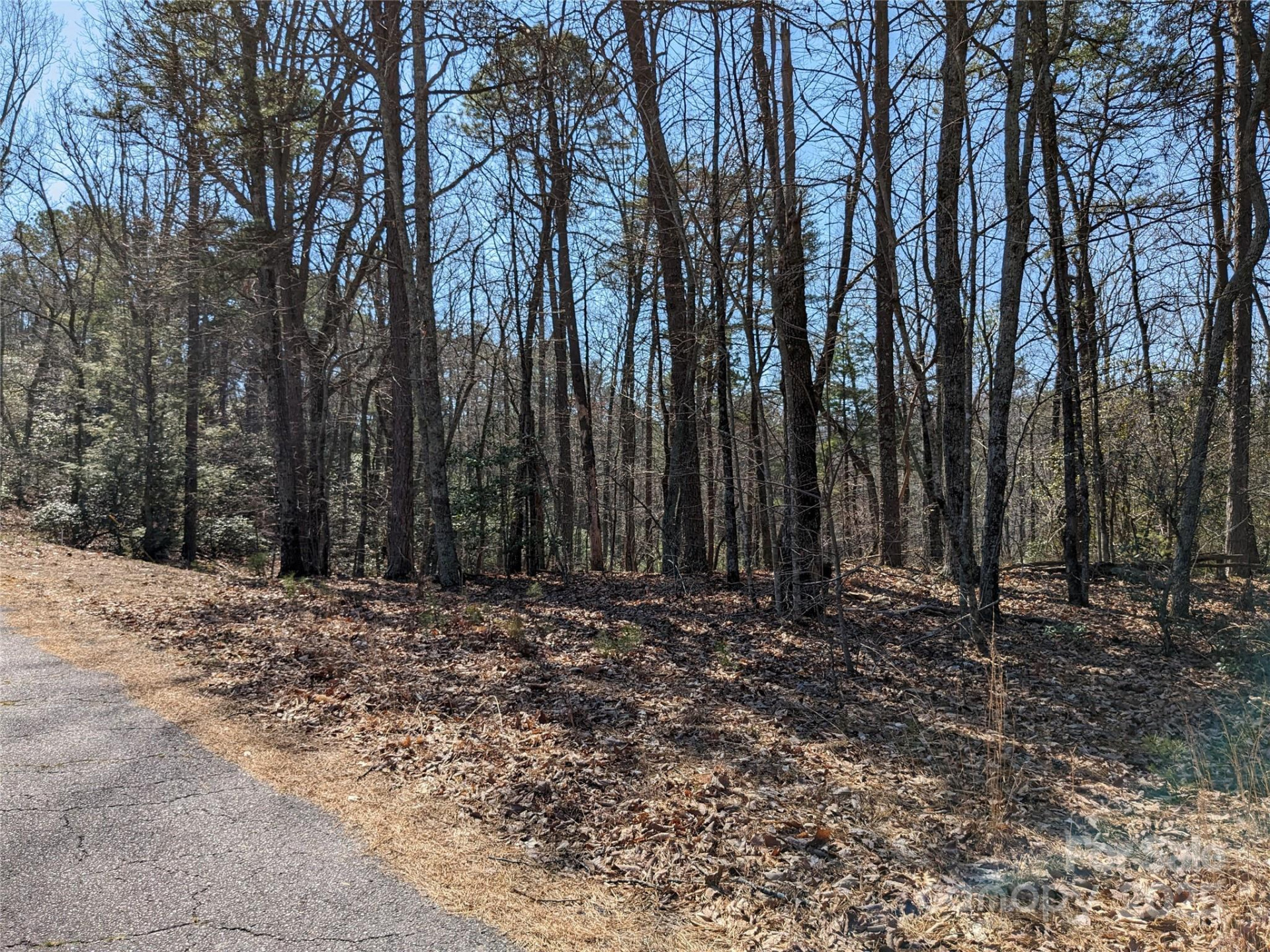 8624 Sleepy Hollow Road #13 - Photo 12