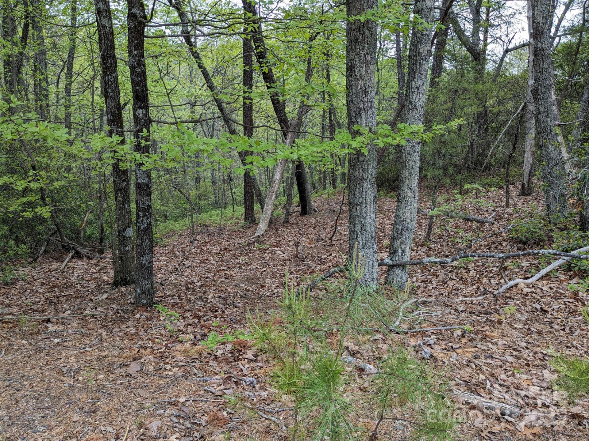 8624 Sleepy Hollow Road #13 - Photo 20