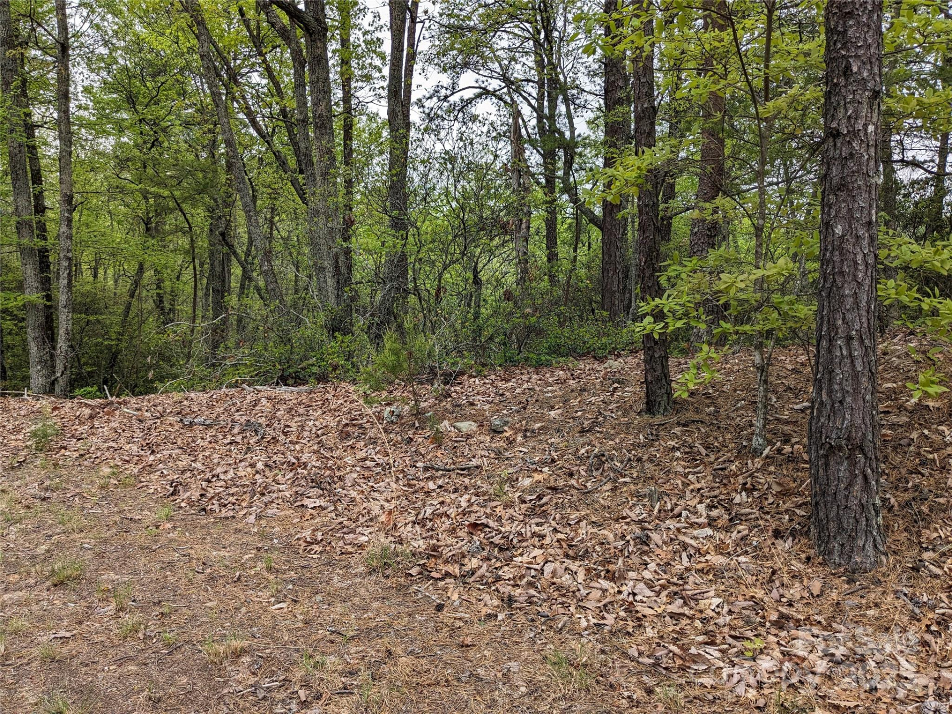 8624 Sleepy Hollow Road #13 - Photo 3