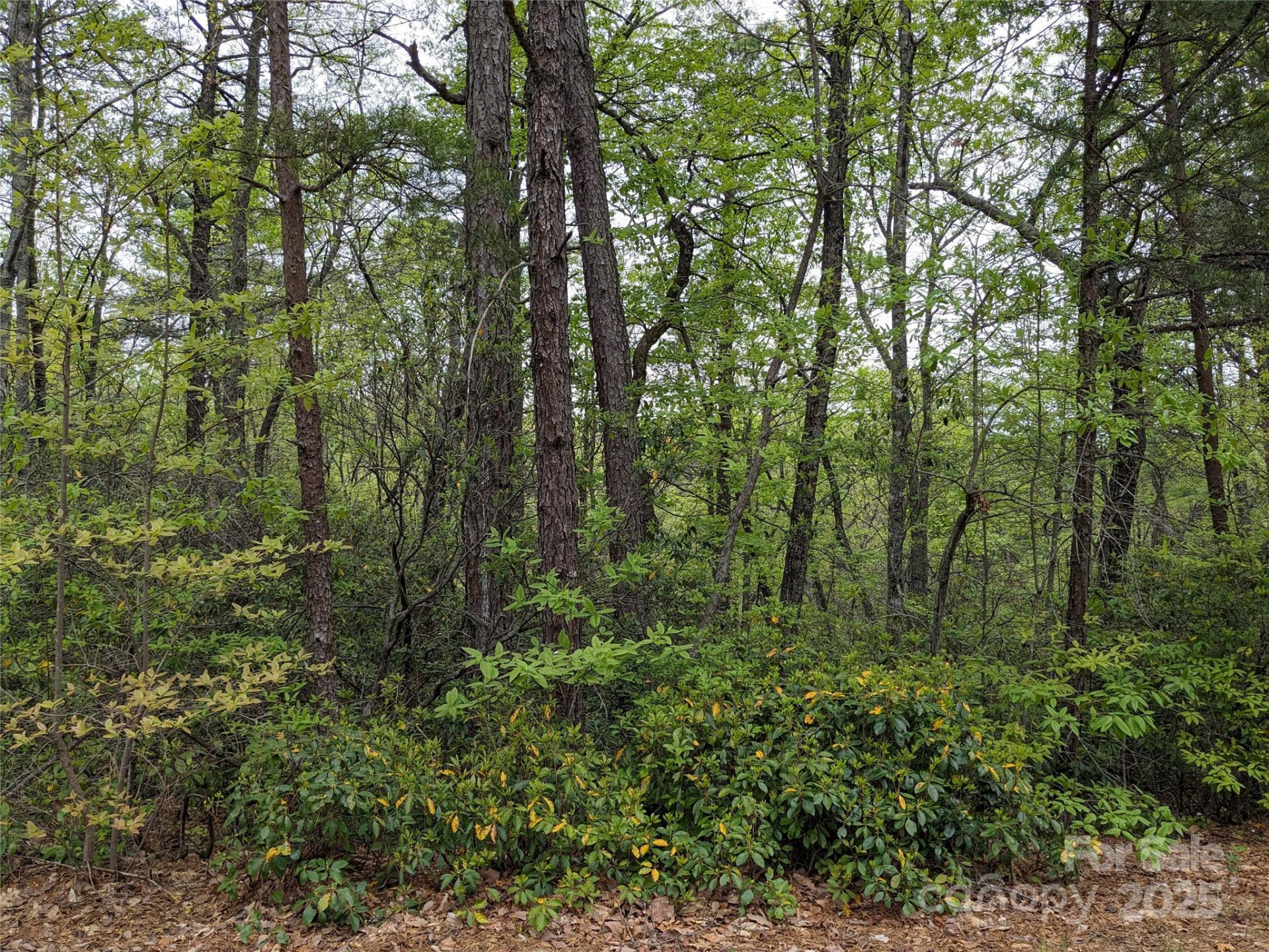 8624 Sleepy Hollow Road #13 - Photo 21