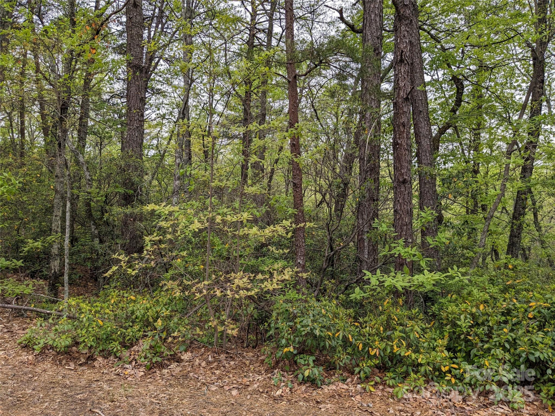 8624 Sleepy Hollow Road #13 - Photo 22