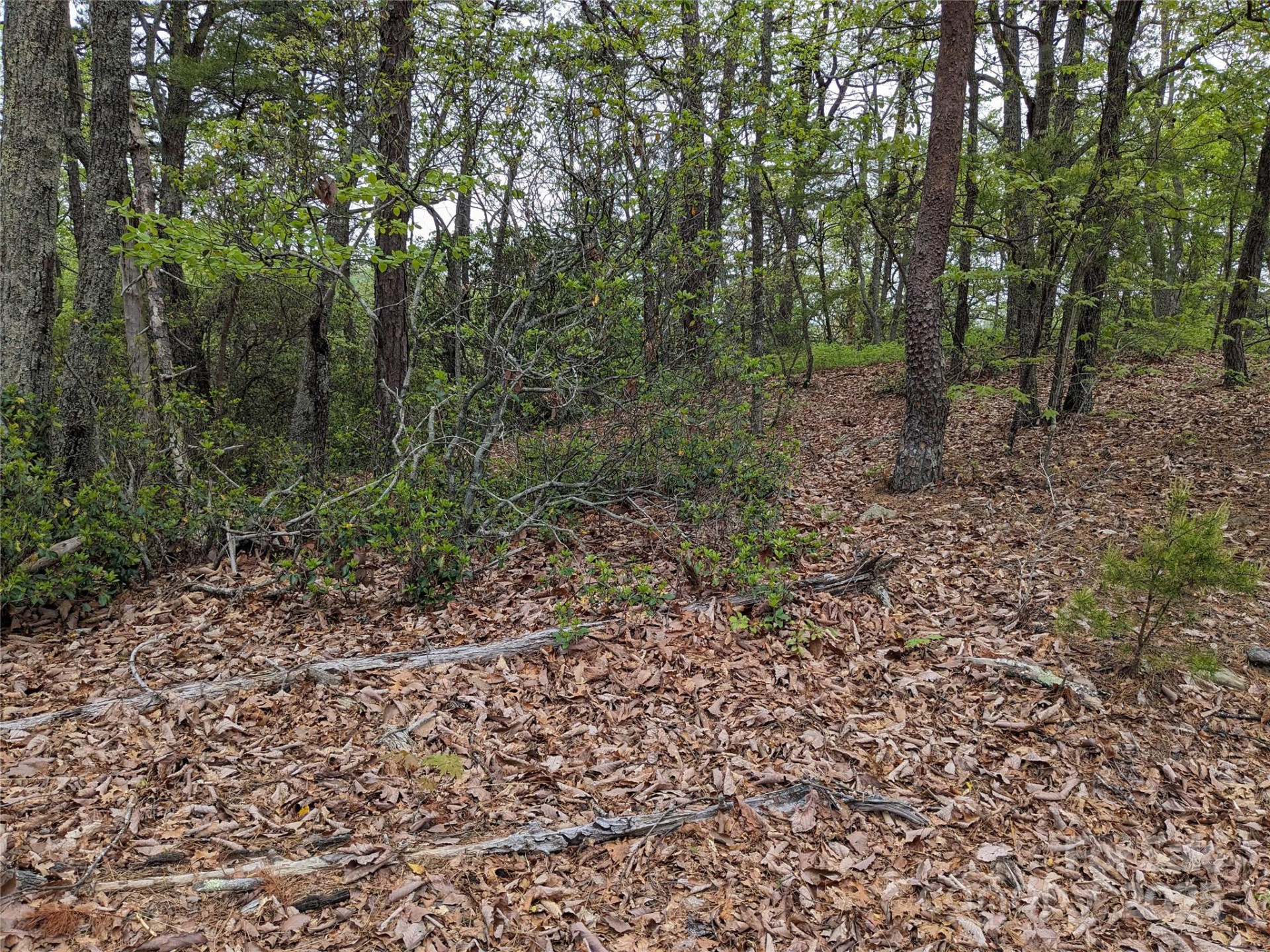 8624 Sleepy Hollow Road #13 - Photo 23