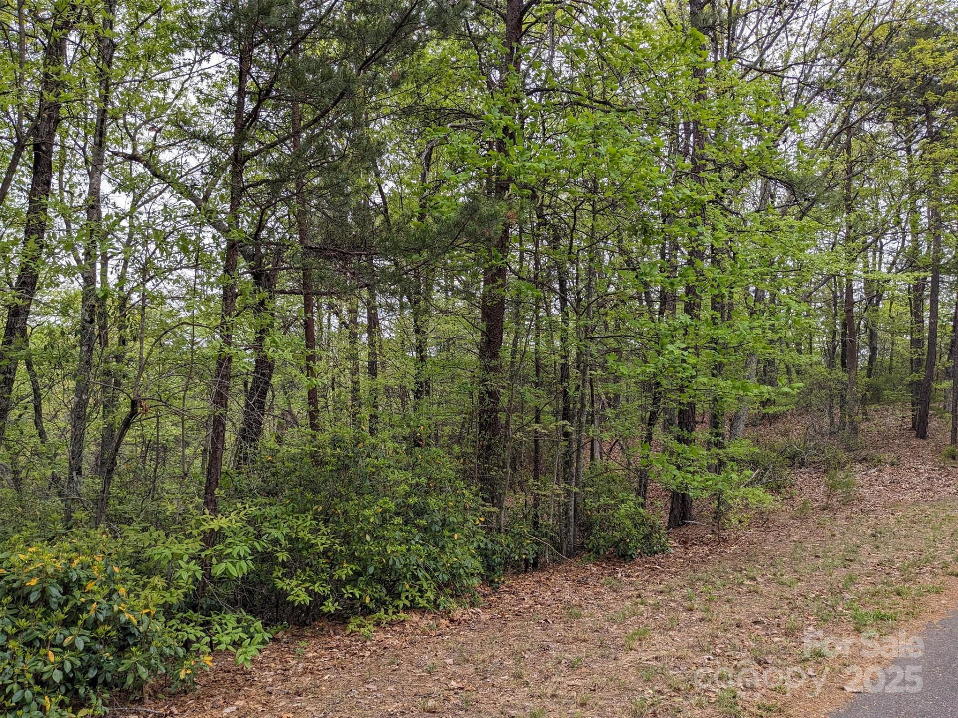 8624 Sleepy Hollow Road #13 - Photo 24