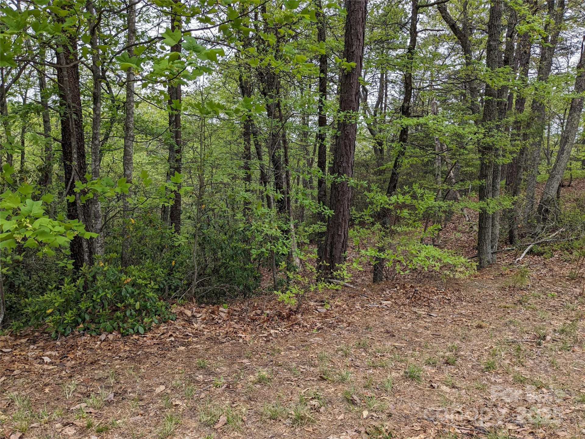 8624 Sleepy Hollow Road #13 - Photo 25