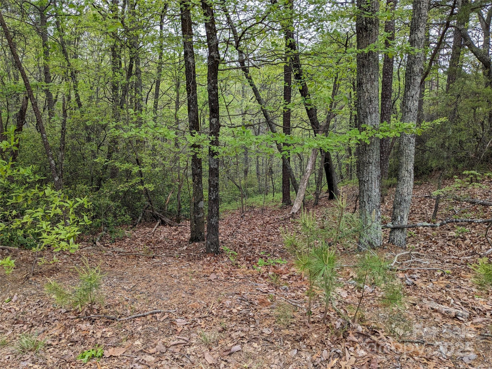 8624 Sleepy Hollow Road #13 - Photo 26