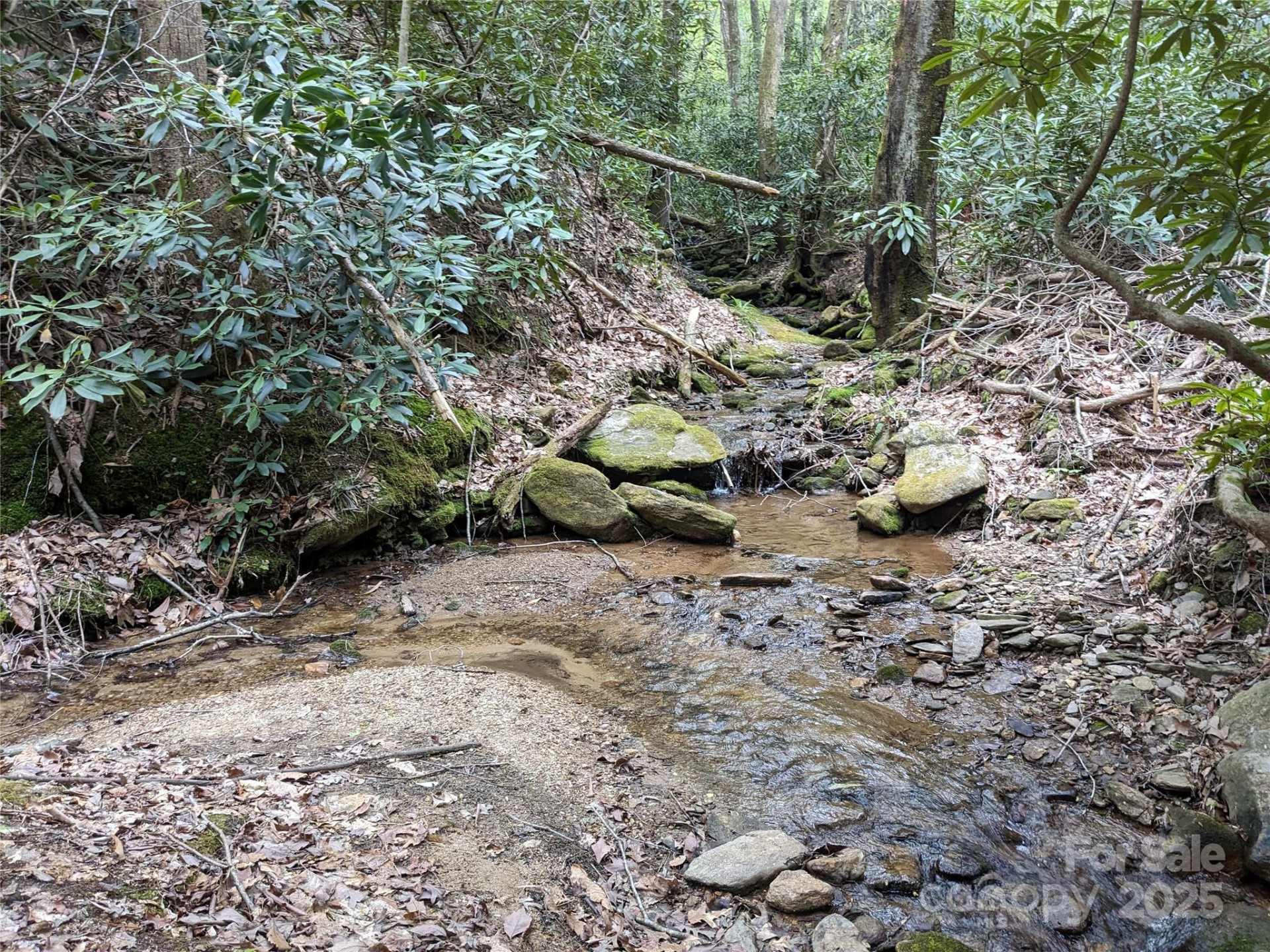 8624 Sleepy Hollow Road #13 - Photo 29