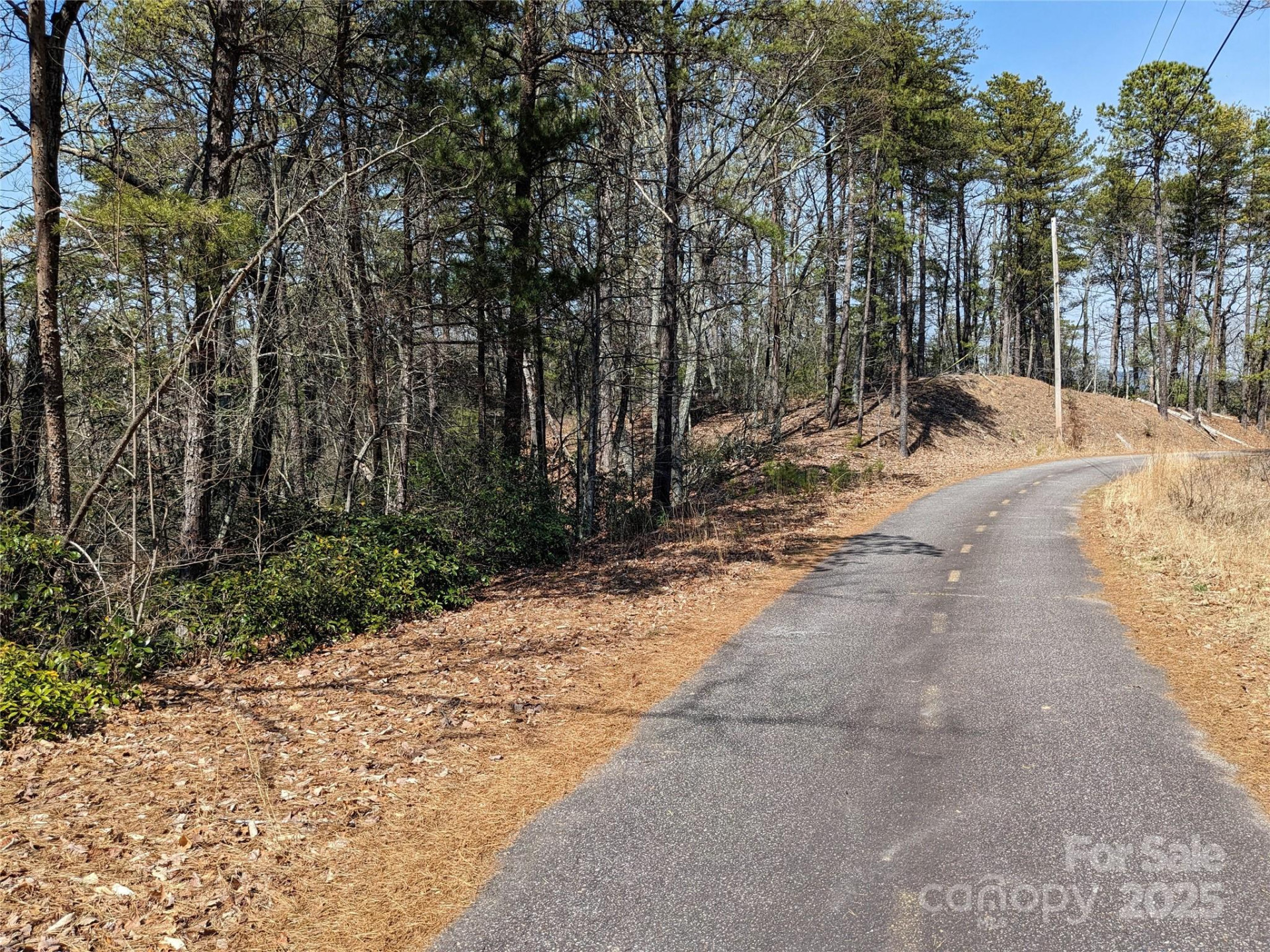 8624 Sleepy Hollow Road #13 - Photo 4