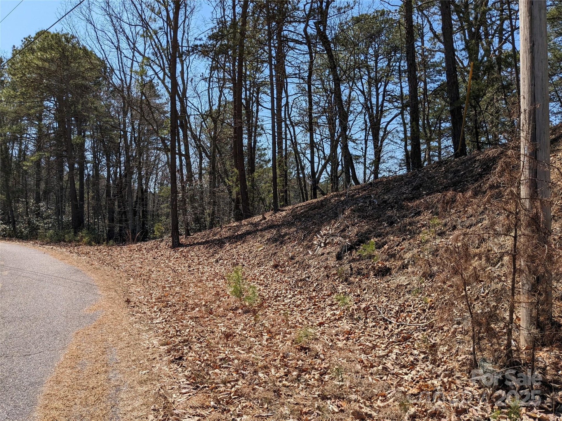 8624 Sleepy Hollow Road #13 - Photo 5