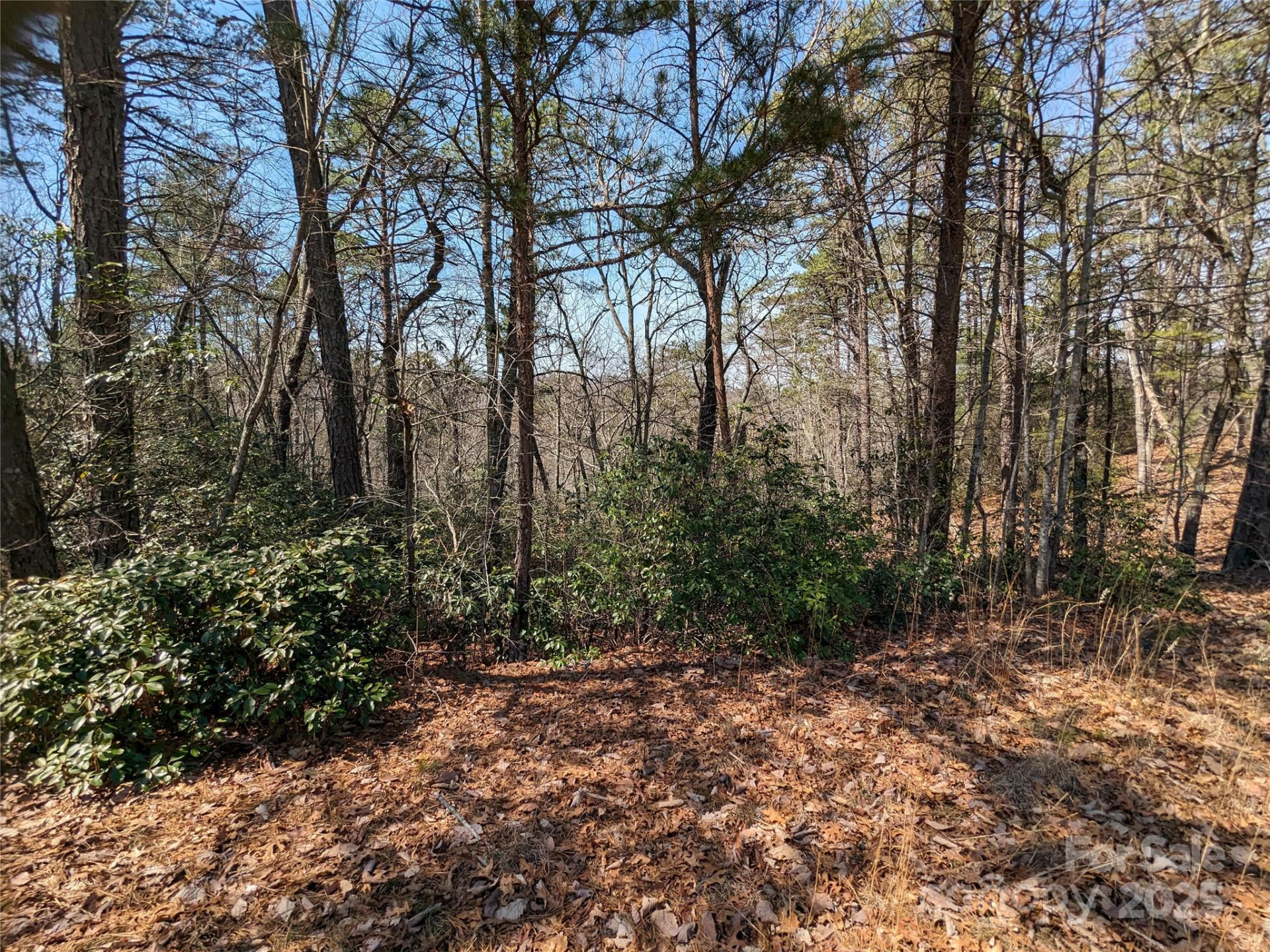 8624 Sleepy Hollow Road #13 - Photo 6