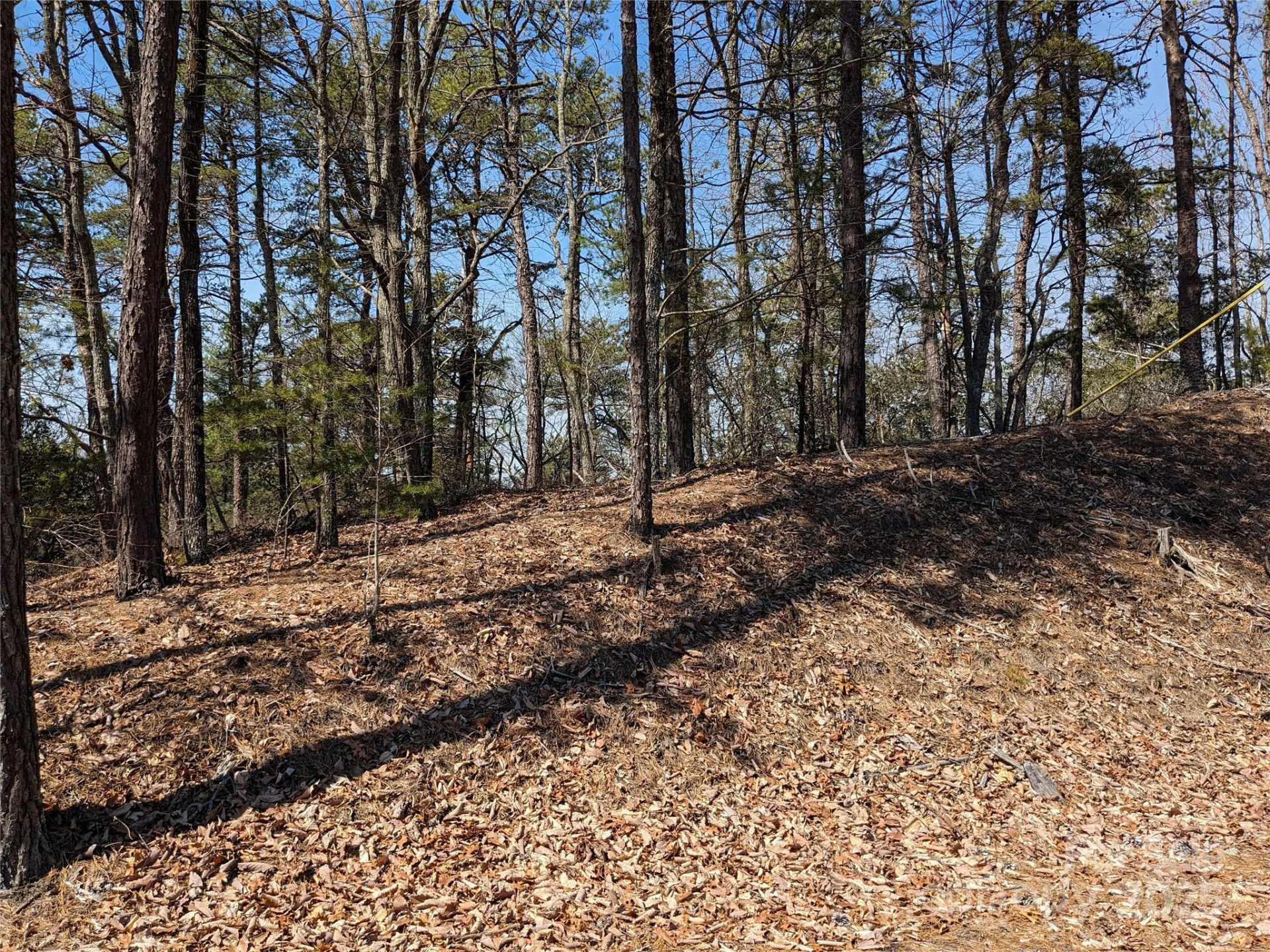 8624 Sleepy Hollow Road #13 - Photo 7