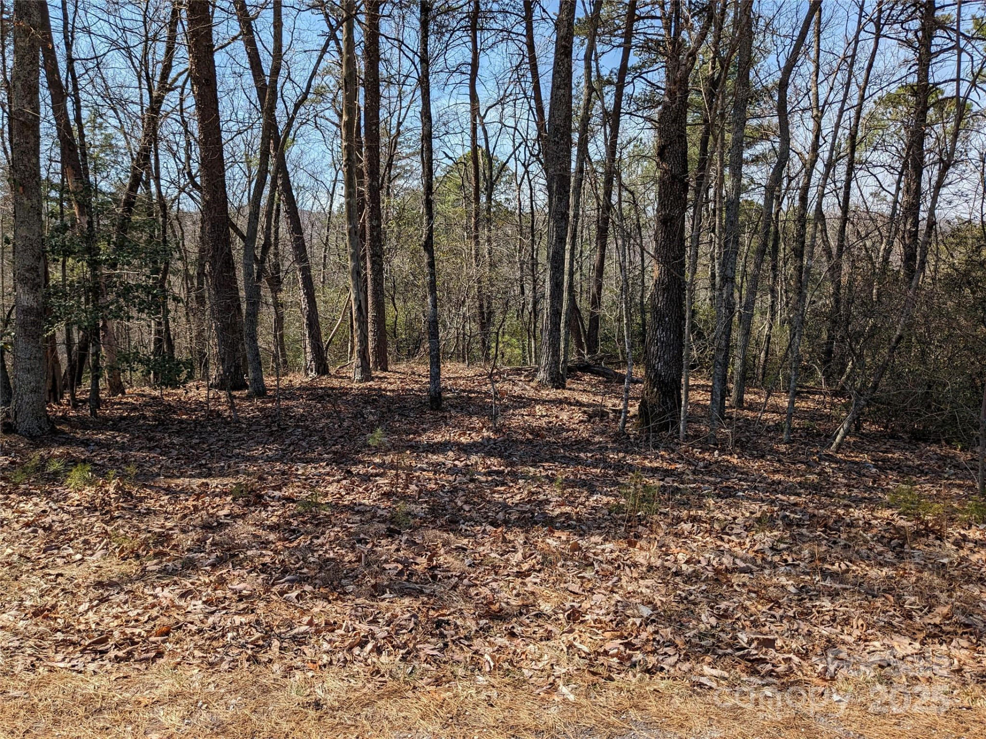 8624 Sleepy Hollow Road #13 - Photo 8