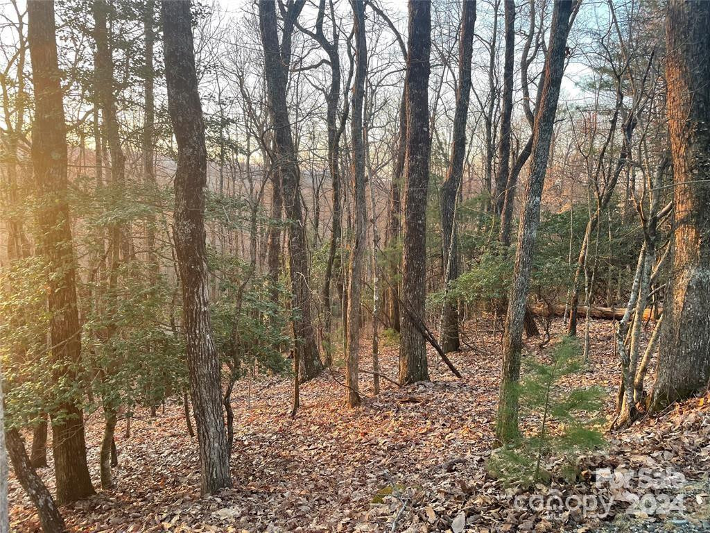 TBD Connestee Trail - Photo 3