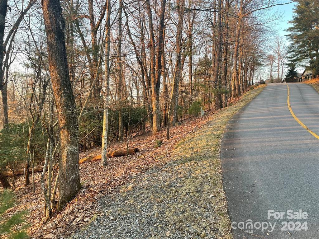 TBD Connestee Trail - Photo 4