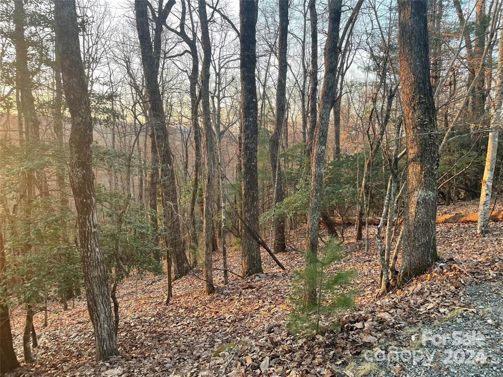 TBD Connestee Trail - Photo 5