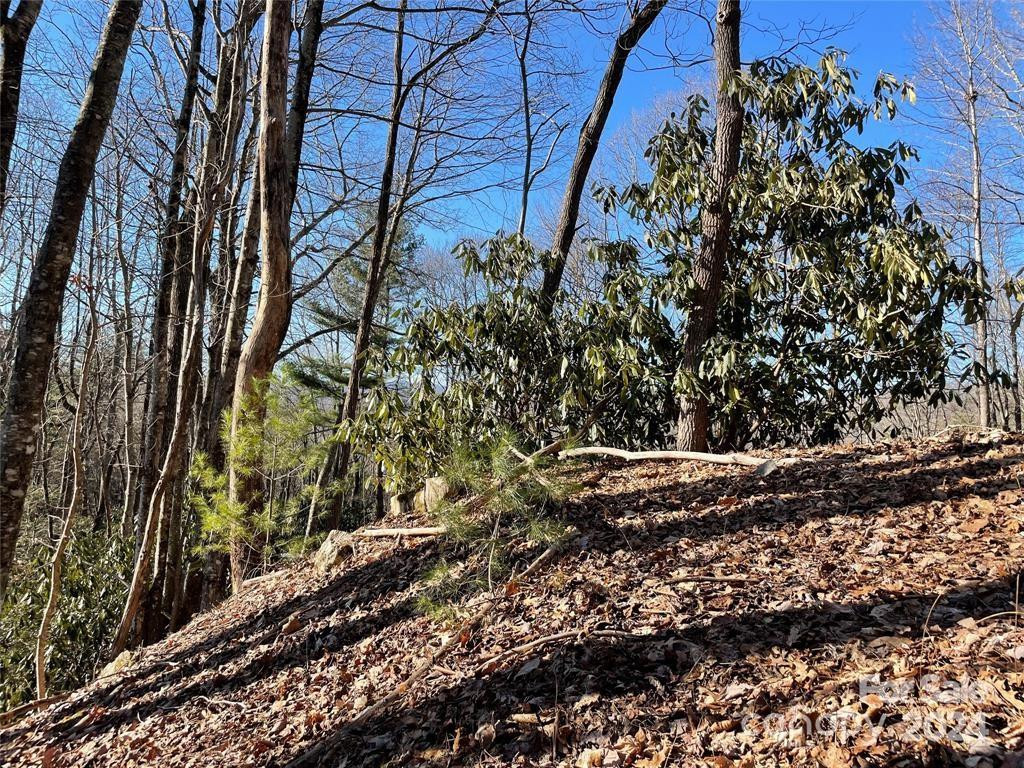 TBD Tsuganawvi Court - Photo 3