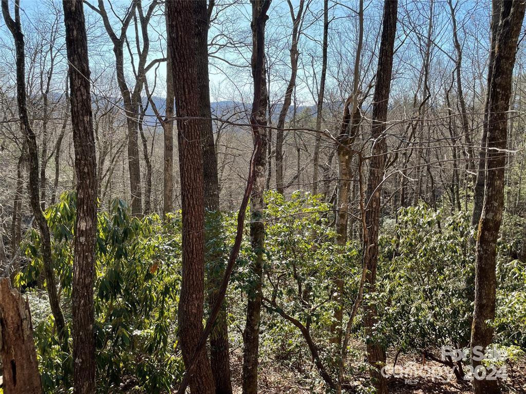 TBD Tsuganawvi Court - Photo 5