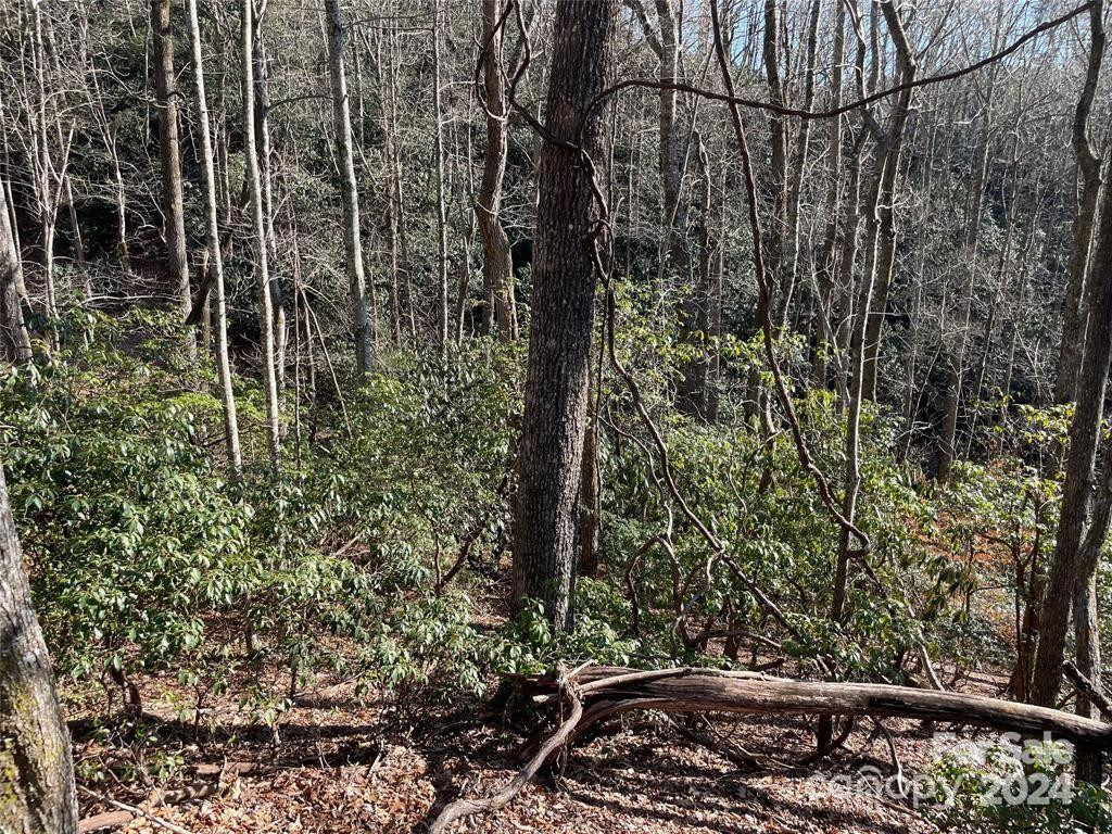 TBD Tsuganawvi Court - Photo 6