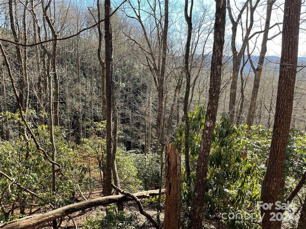 TBD Tsuganawvi Court - Photo 7