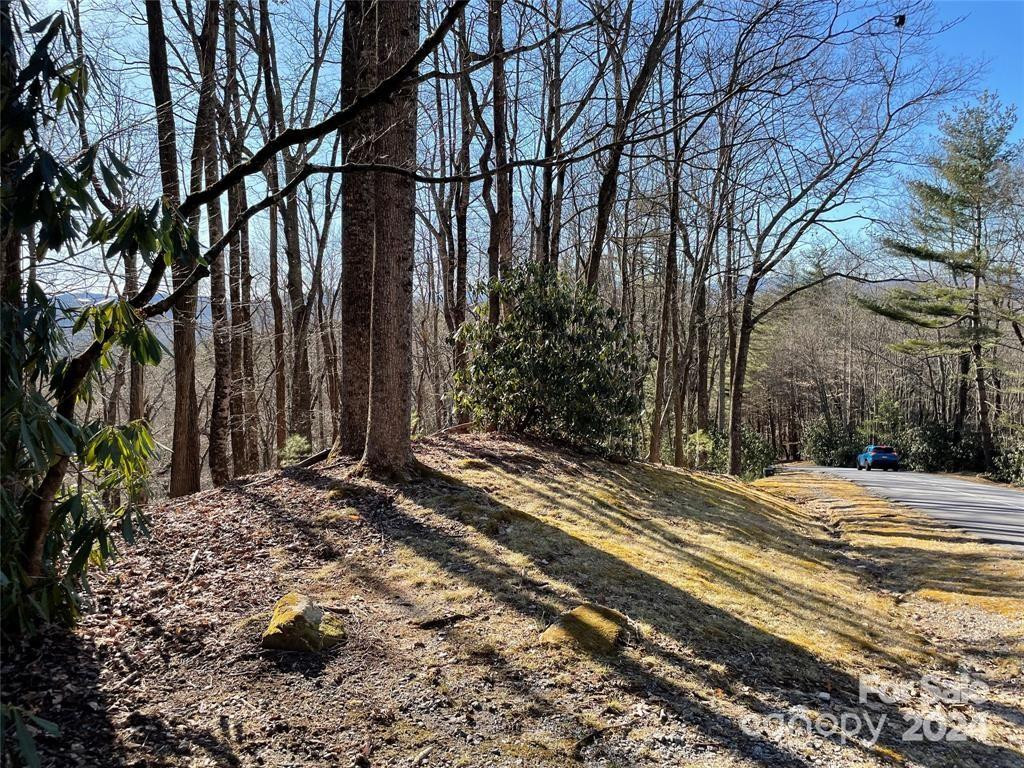 TBD Tsuganawvi Court - Photo 9