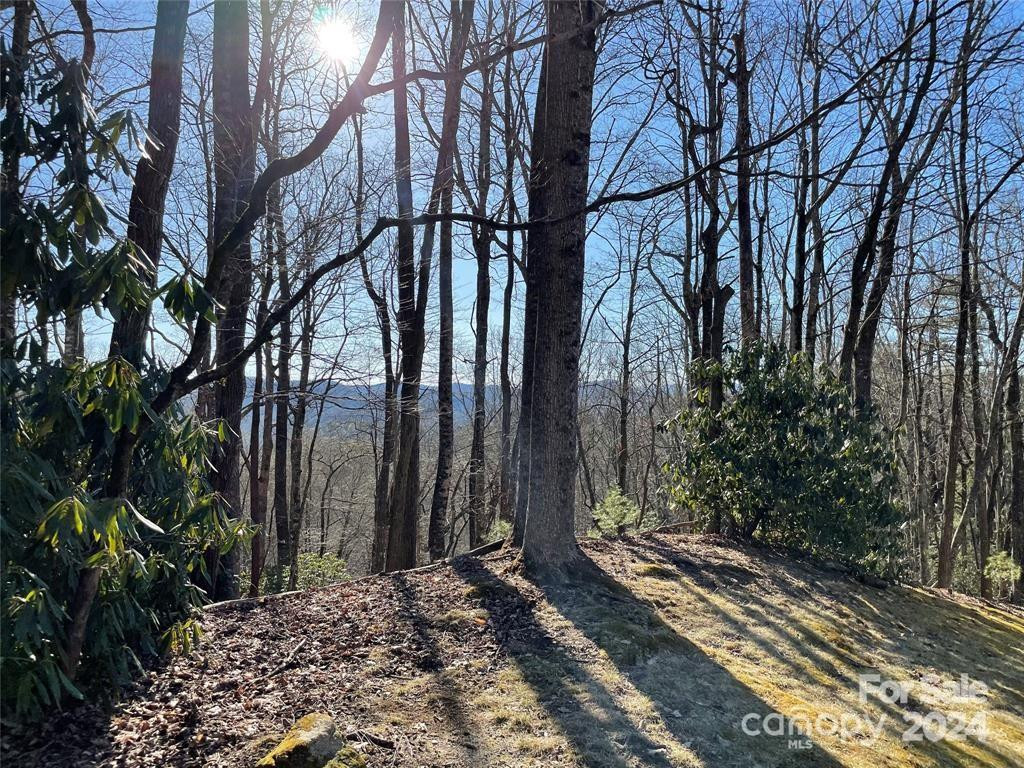 TBD Tsuganawvi Court - Photo 10