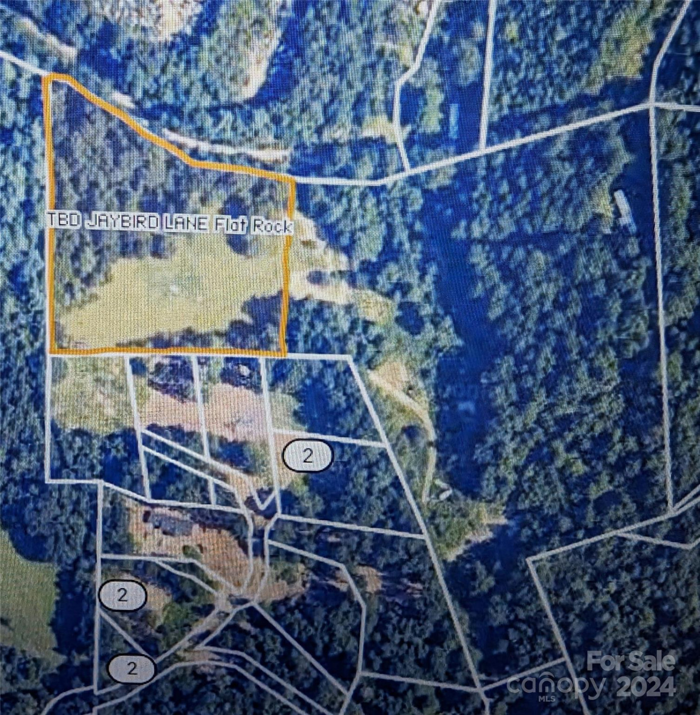 TBD Jaybird Lane - Photo 4