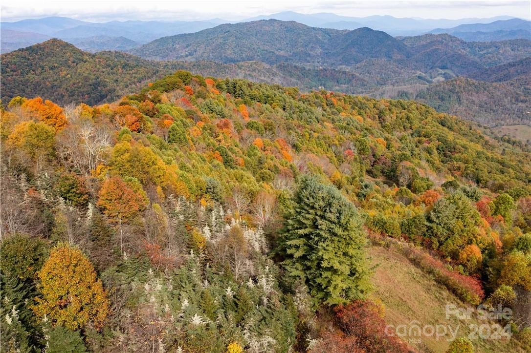 1375 Swing Road - Photo 13