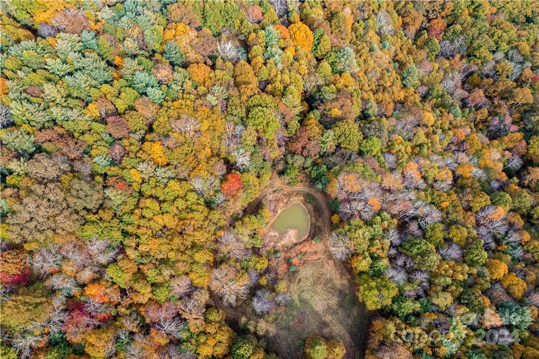 1375 Swing Road - Photo 14