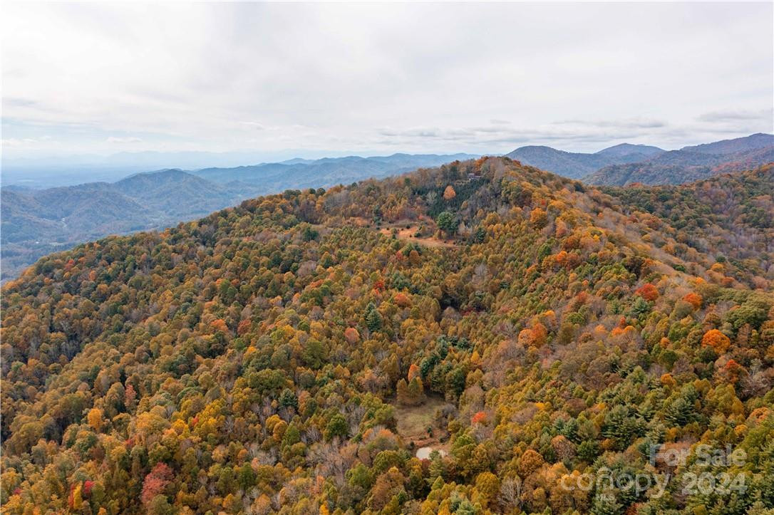 1375 Swing Road - Photo 5