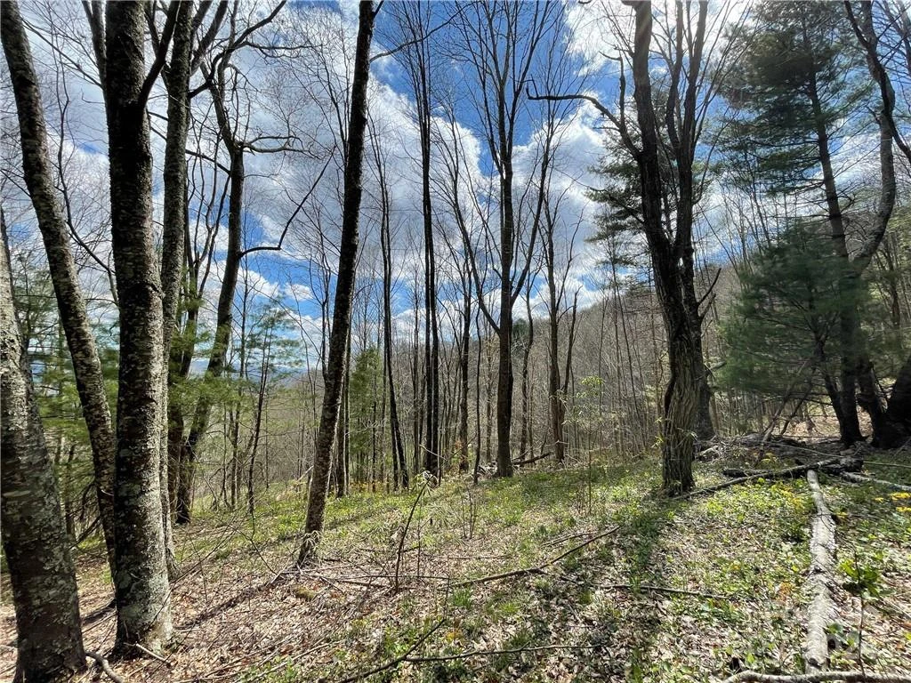 1375 Swing Road - Photo 41