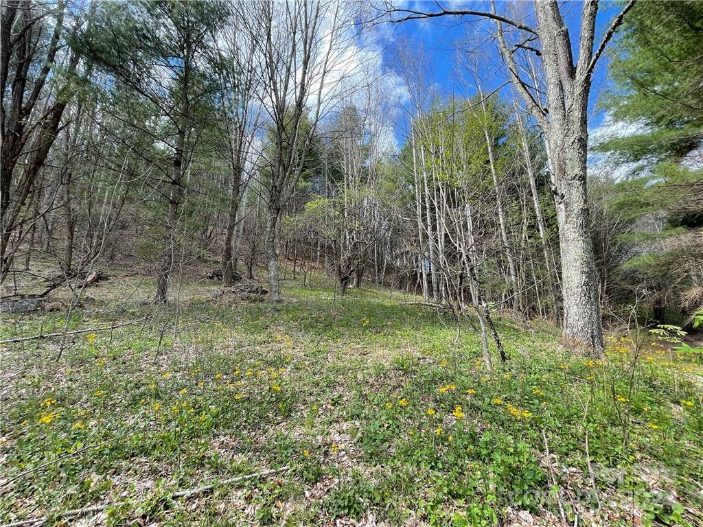 1375 Swing Road - Photo 42