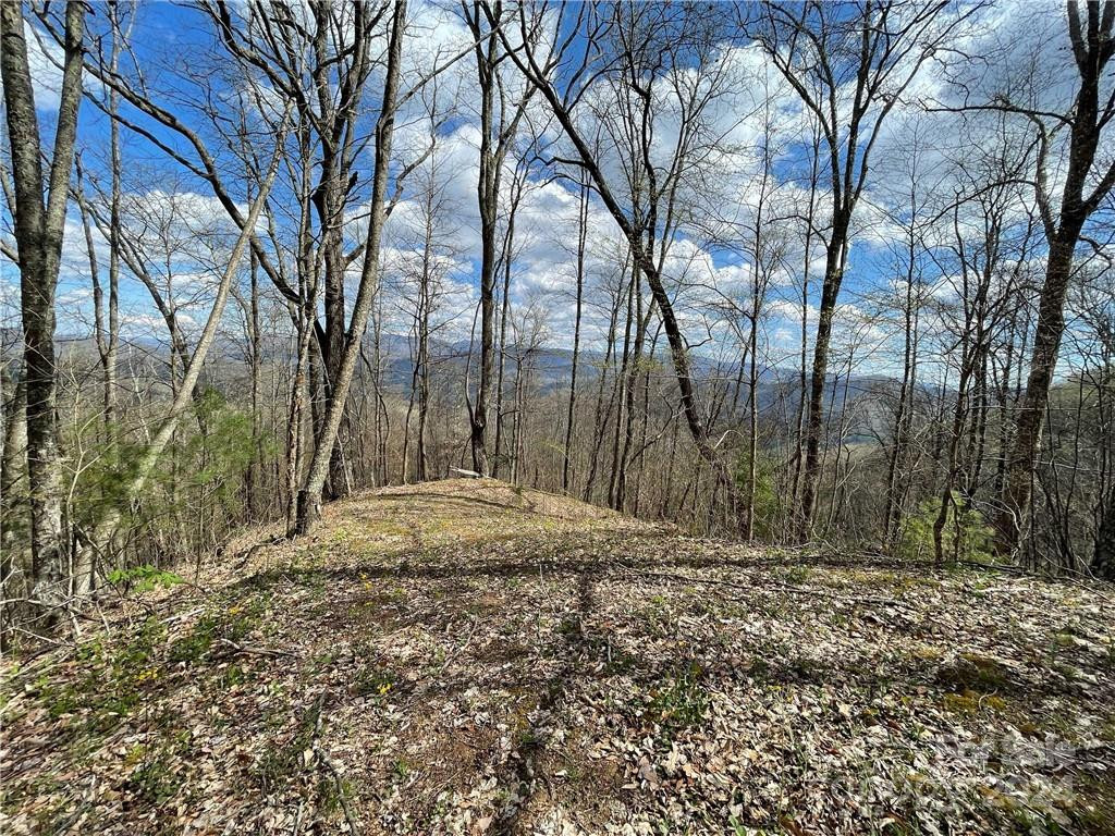 1375 Swing Road - Photo 45