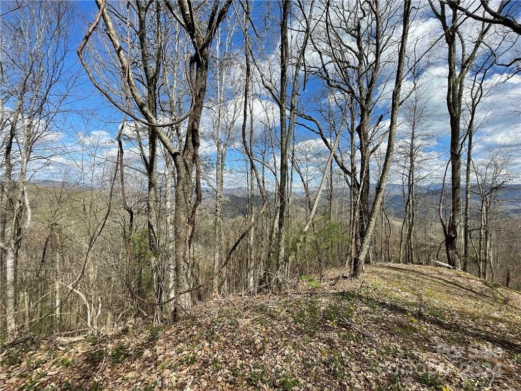 1375 Swing Road - Photo 46