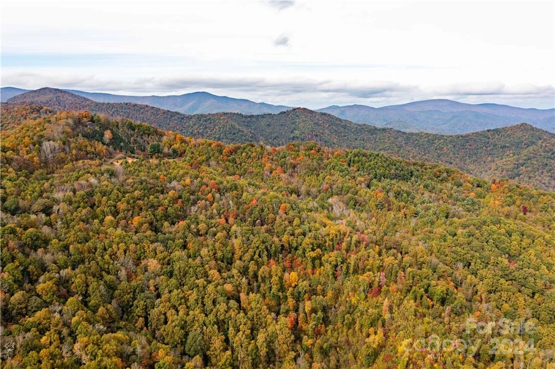1375 Swing Road - Photo 7