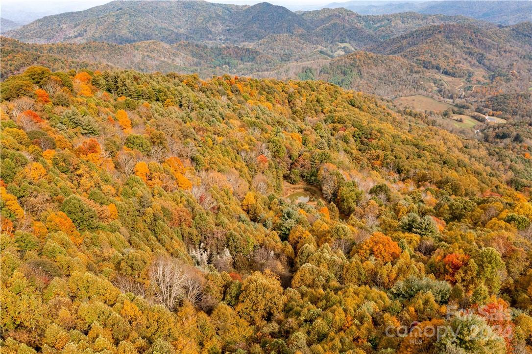 1375 Swing Road - Photo 8