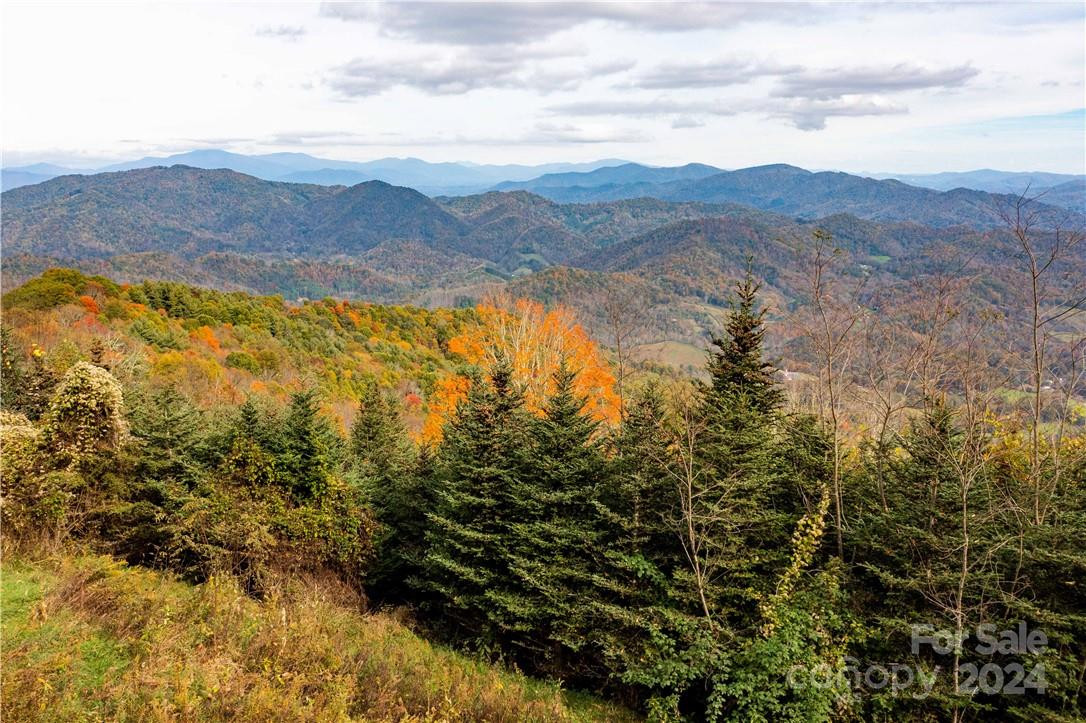 1375 Swing Road - Photo 10