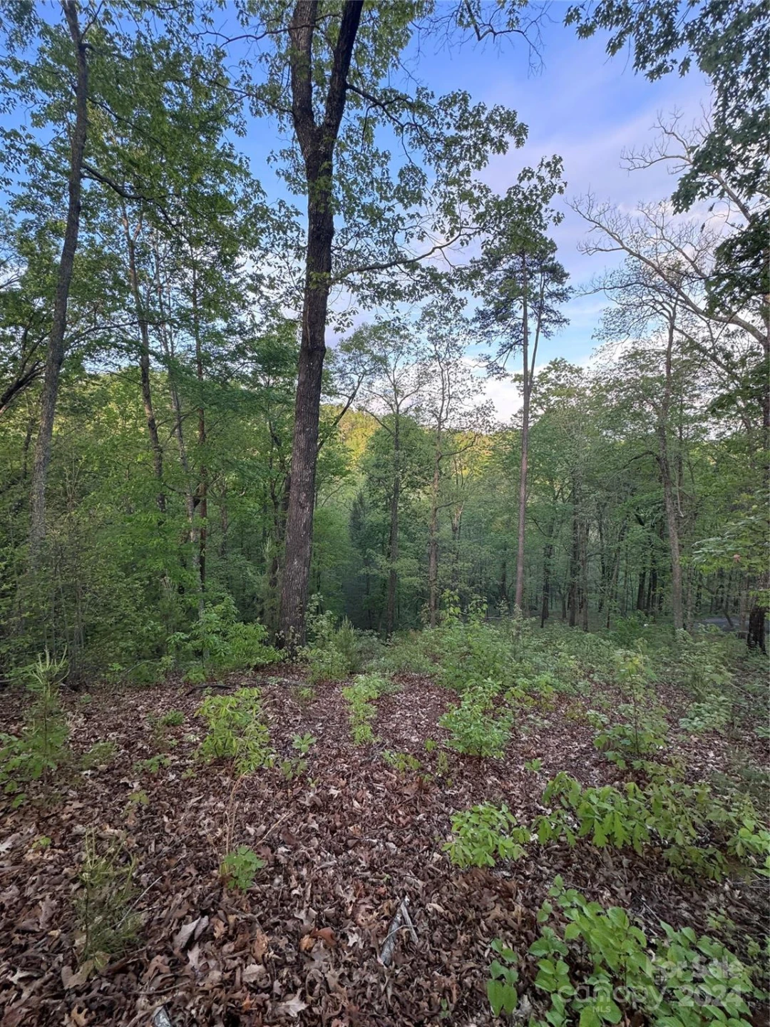 0 Willow Top Lane #315