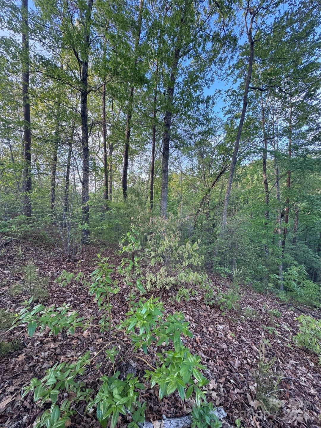 0 Willow Top Lane #315 - Photo 2