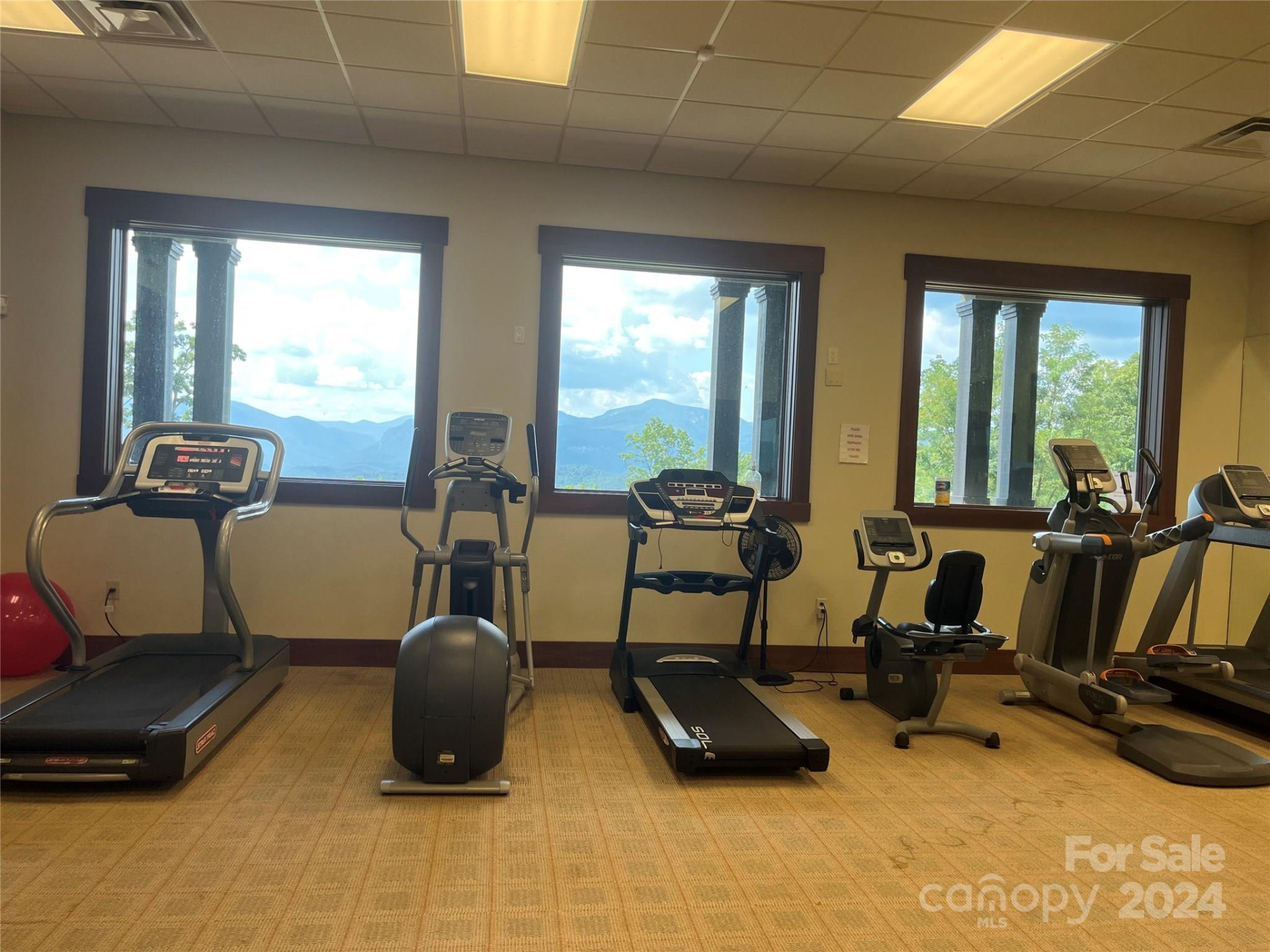 0 Willow Top Lane #315 - Photo 11